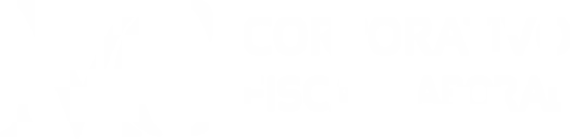 MC Corporativo